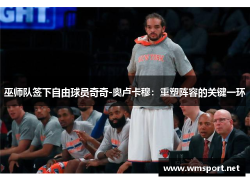 巫师队签下自由球员奇奇-奥卢卡穆：重塑阵容的关键一环